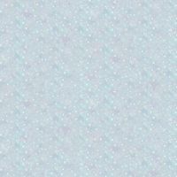ttWINTER-CD4896 FROST